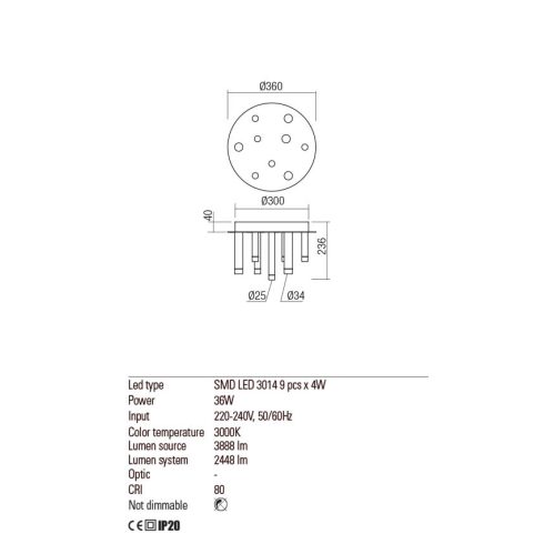 Redo Mennyezeti lámpa 01-2042 MADISON