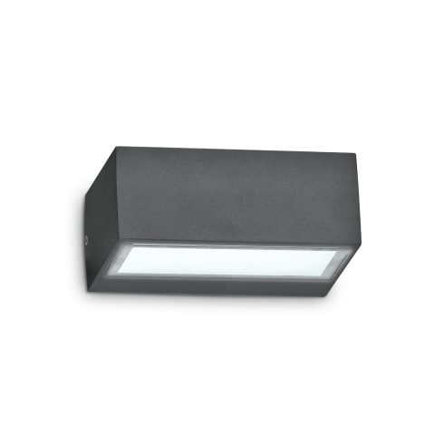 Ideal Lux Kültéri fali lámpa TWIN AP1 ANTRACITE 115368