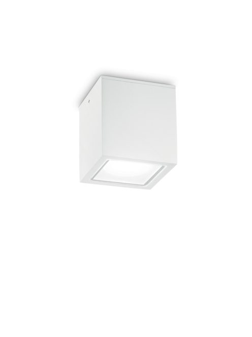 Ideal Lux Kültéri mennyezeti lámpa TECHO PL1 BIG BIANCO 251523