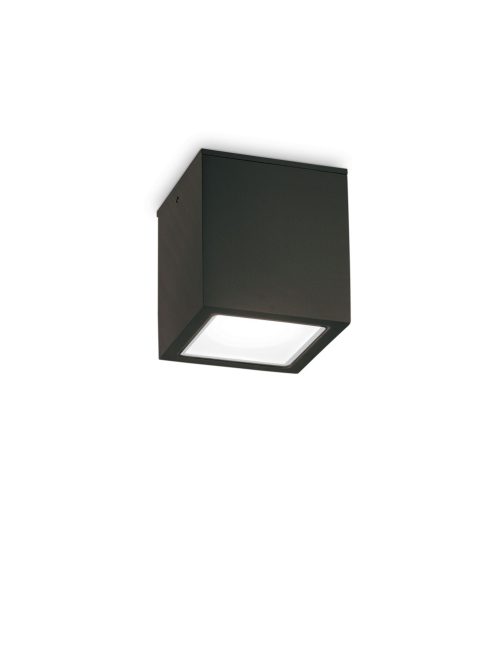 Ideal Lux Kültéri mennyezeti lámpa TECHO PL1 BIG NERO 251530