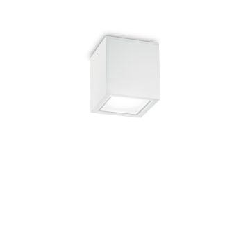   Ideal Lux Kültéri mennyezeti lámpa TECHO PL1 SMALL BIANCO 251561