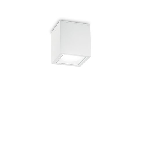 Ideal Lux Kültéri mennyezeti lámpa TECHO PL1 SMALL BIANCO 251561