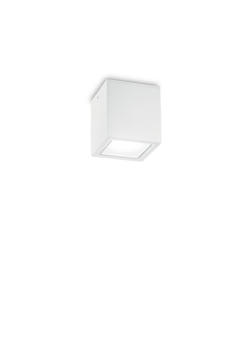 Ideal Lux Kültéri mennyezeti lámpa TECHO PL1 SMALL BIANCO 251561