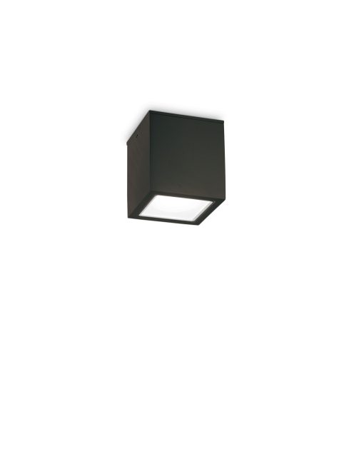 Ideal Lux Kültéri mennyezeti lámpa TECHO PL1 SMALL NERO 251578