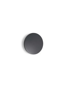   Ideal Lux Kültéri Fali lámpa PUNTO AP D24 ANTRACITE 313559