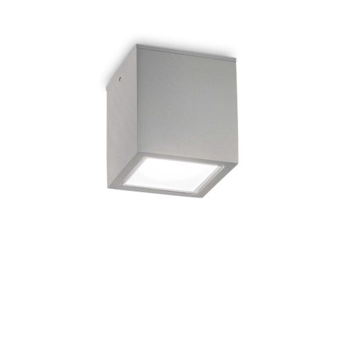 Ideal Lux Kültéri Mennyezeti lámpa TECHO PL1 BIG GRIGIO 326887
