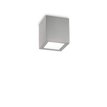   Ideal Lux Kültéri Mennyezeti lámpa TECHO PL1 SMALL GRIGIO 326894