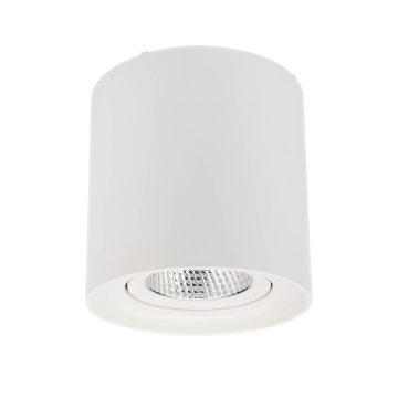 Redo Mennyezeti lámpa 70432 PC