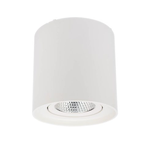 Redo Mennyezeti lámpa 70433 PC