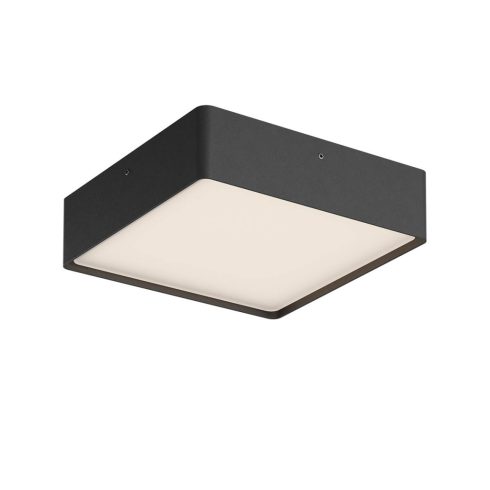 Redo Kültéri mennyezeti lámpa 91052 NOX