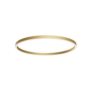 Arelux Függeszték AM04NW SGD XAMBIT